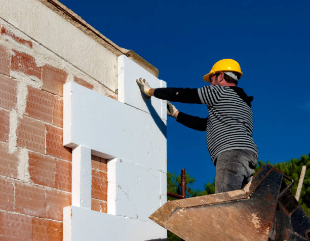 Best Geographic-Specific Insulation Services in Farmington, NM