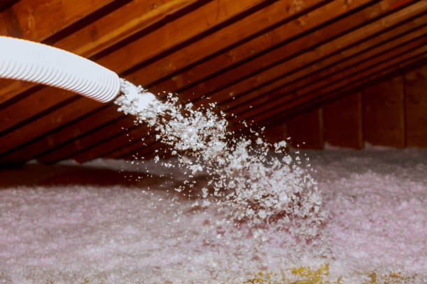Best DIY Insulation Kits and Guidance in Farmington, NM