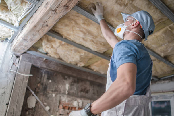 Best Commercial Insulation in Farmington, NM